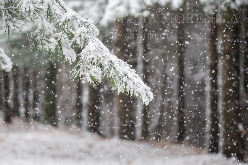 Ovo se veoma rijetko događa: U Maroku napadalo 10 centimetara snijega