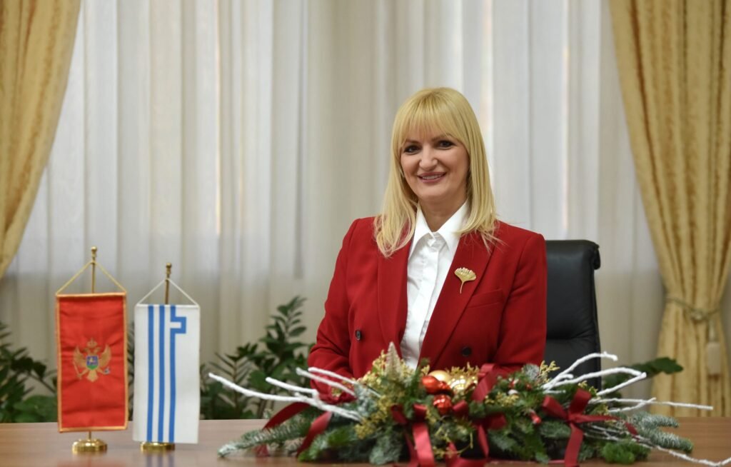 Borovinić Bojović za Portal RTV PG: Skupština je dom demokratije i građana, a ne mašina za sprovođenje direktiva