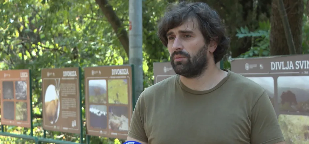 Vujisić: Biće potrebne godine i decenije za obnovu uništenih šuma