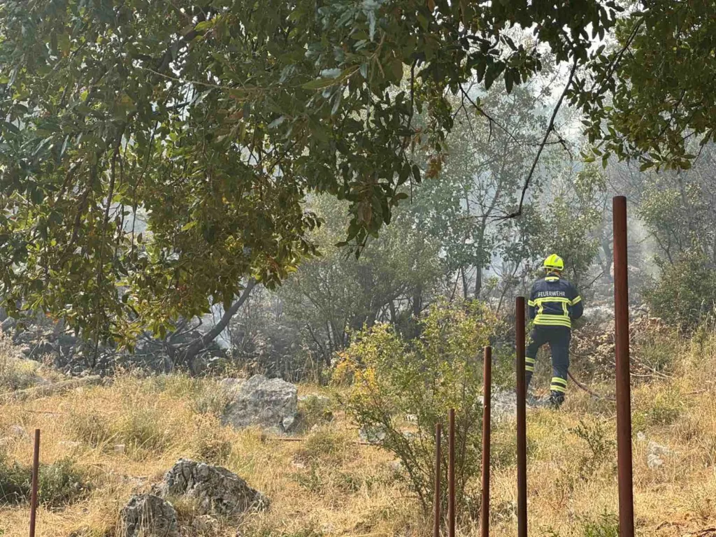 Požari u Crnoj Gori pod kontrolom, ali oprez ostaje