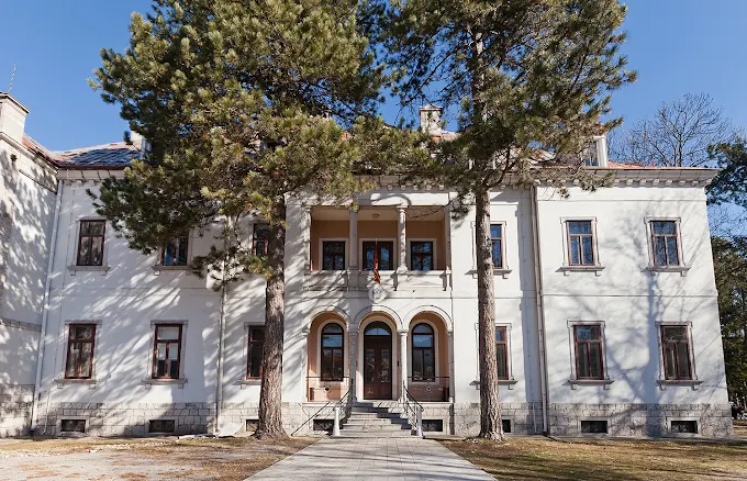 Fakultet za crnogorski jezik i književnost raspisao konkurs, mjesta za 19 brucoša