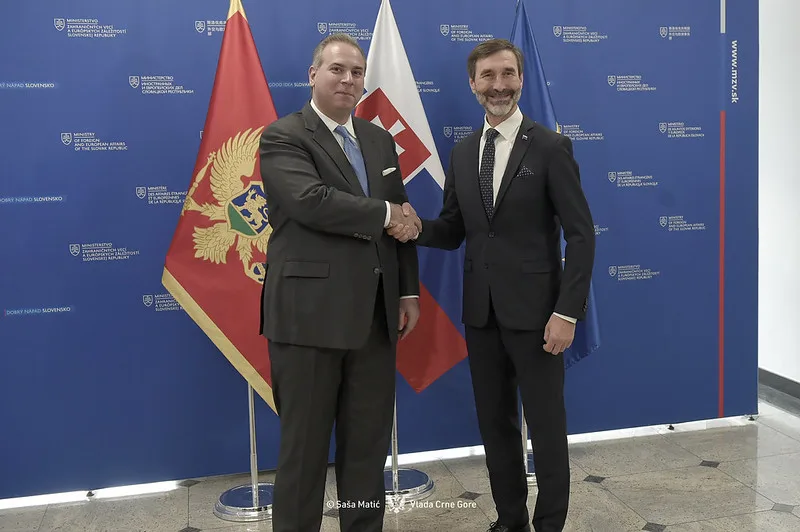 Ivanović – Blanar: Crna Gora naredna članica EU, ubrzati proces pristupanja