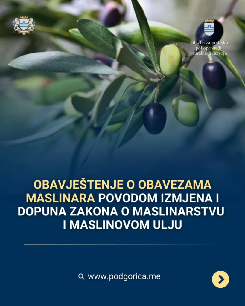 Maslinari iz Podgorice da se prijave za popis po novom zakonu
