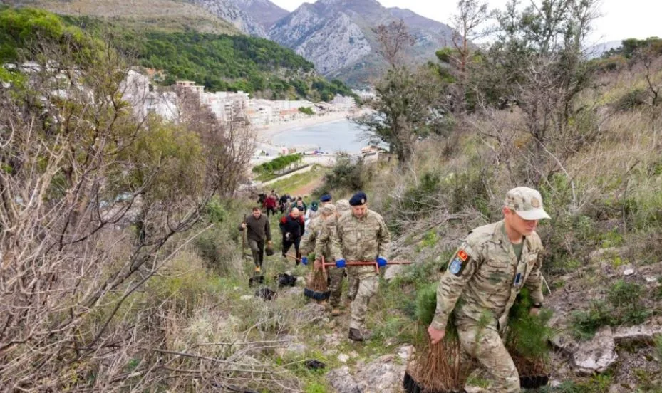 “Boranka” na Golom brdu ujedinila institucije, izviđače i građane