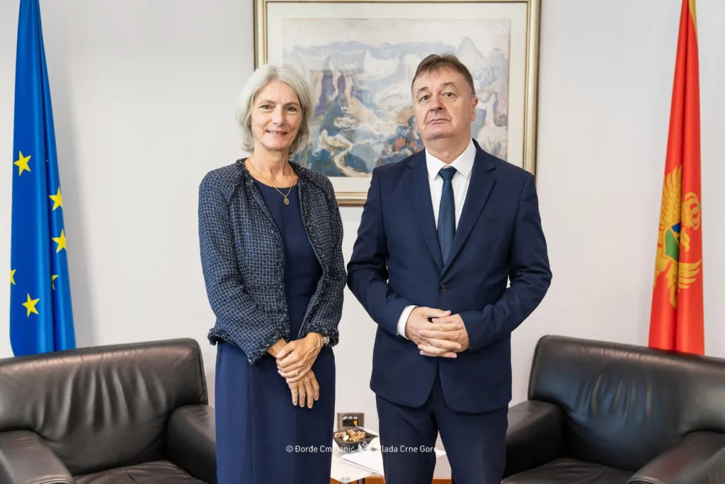 Aleksić – Tiso Baranzini: UN će uvijek i u svakom smislu pružati podršku Crnoj Gori