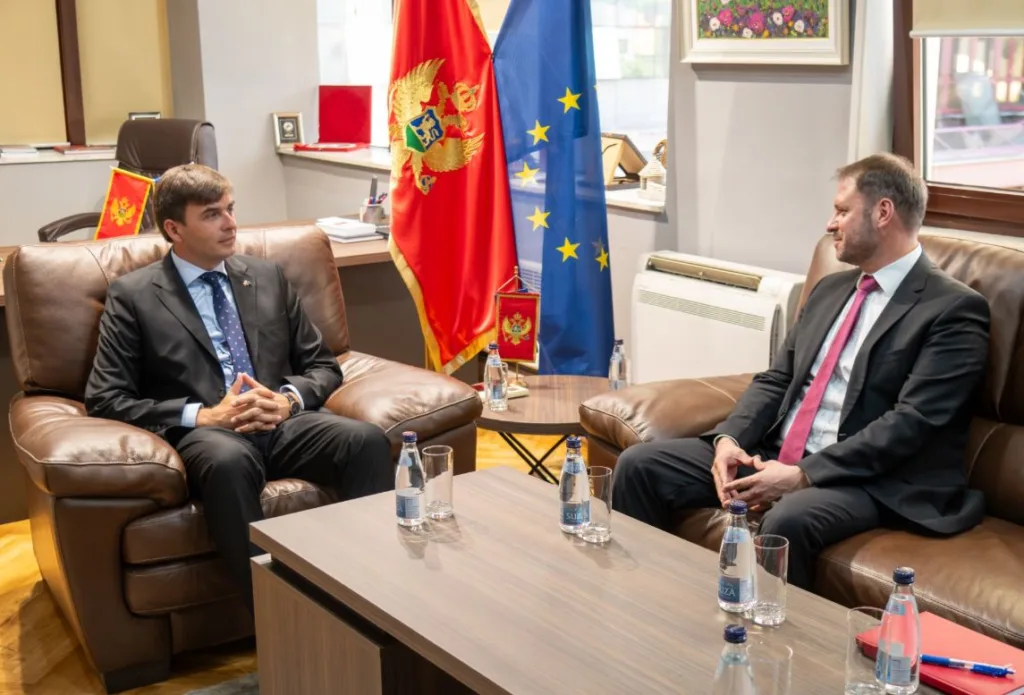 Azemović – Sagarc: Jačanje saradnje Crne Gore i EU kroz dijasporu i nove investicije