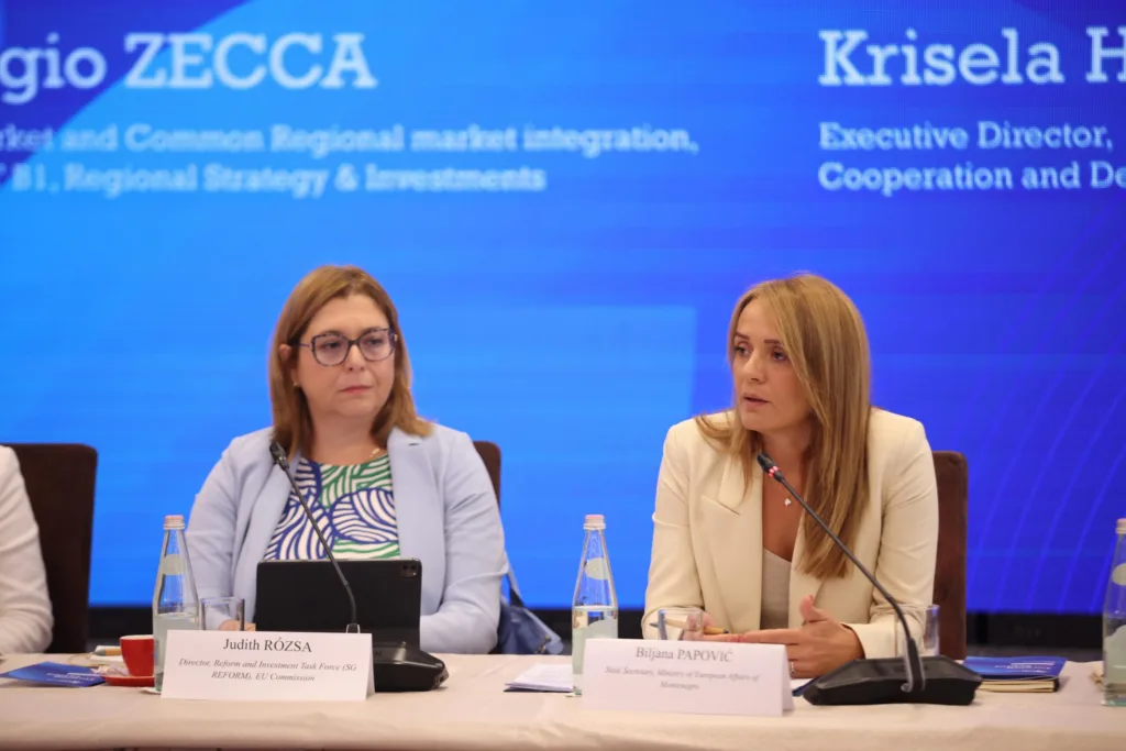 Papović: Reforme su investicija u razvoj i brži put Crne Gore ka EU