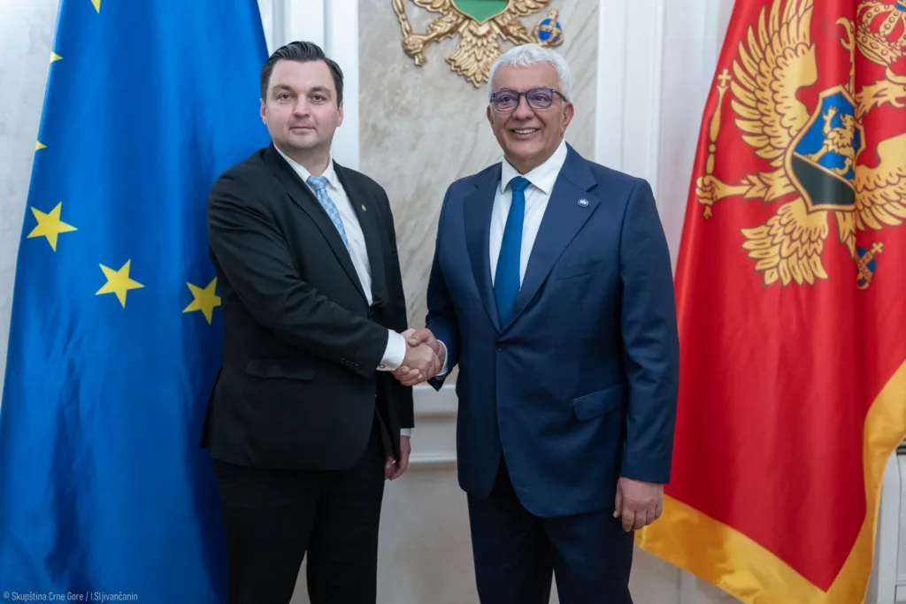 Mandić: Crna Gora zemlja kandidat koja se nalazi najbliže punopravnom članstvu Evropskoj uniji