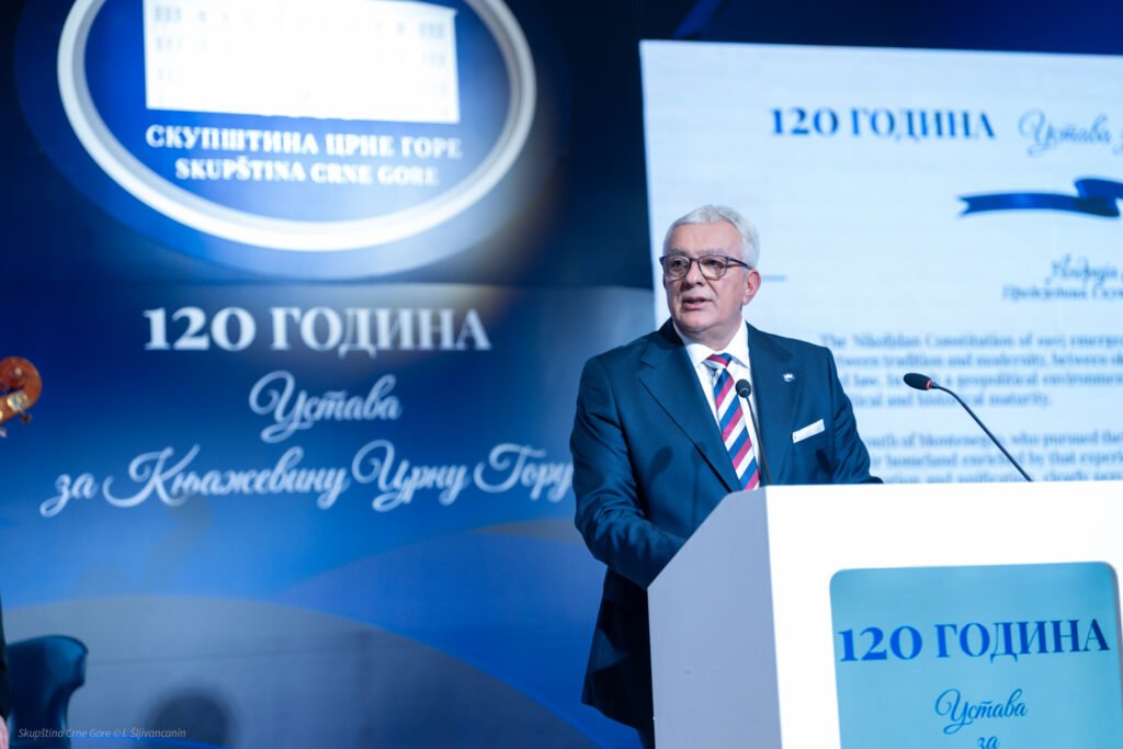 Mandić: Ustav ne oslikava stvarno stanje u društvu, veliki broj njegovih odredbi sazreo za usklađivanje sa savremenom Crnom Gorom