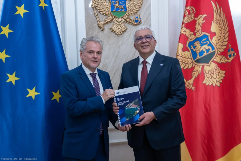 Mandić sa Satlerom: Izvještaj EK potvrđuje da je naša zemlja još jednom prepoznata kao lider evropskih integracija u regionu