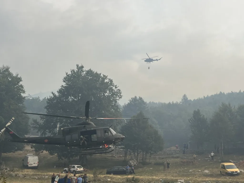 Značajan broj lica procesuiran zbog podmetanja požara širom Crne Gore