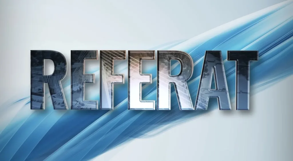 Referat: Projekti, problemi i prioriteti – kako funkcioniše vlast u Podgorici