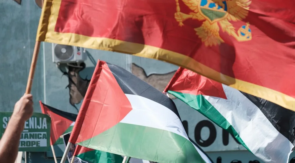 Pokret solidarnosti s Palestinom: Dokle ćemo biti tretirani i kao žrtveno jagnje i kao ovce