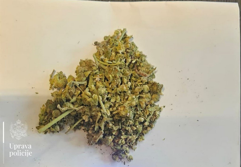 Uhapšeni državljani Srbije i Sjeverne Makedonije osumnjičeni za 13 teških krađa