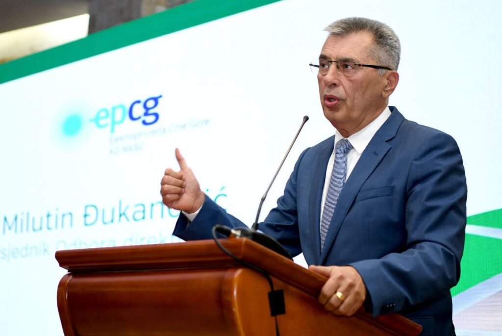 Đukanović: Nema poskupljenja struje do kraja godine