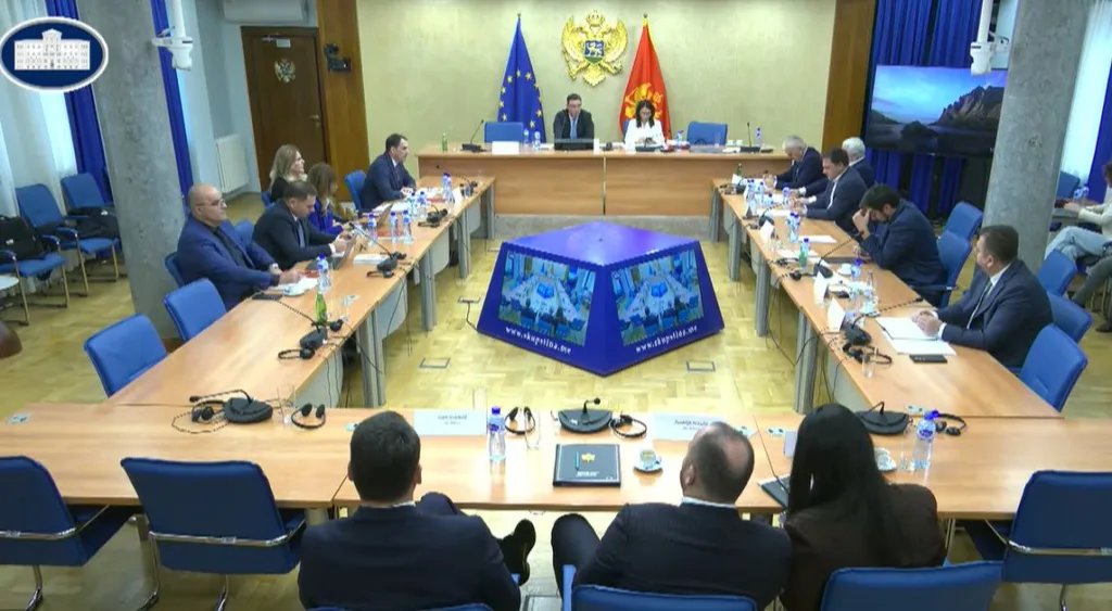 Odbor za politički sistem danas o zakonima o strancima i statusu potomaka dinastije Petrović