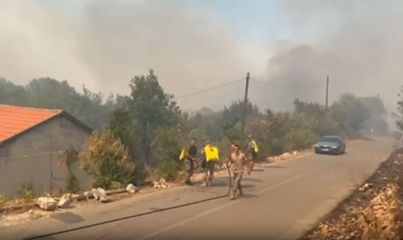 Rakočević: Ne radi se o slučajnim piromanima, već o udruženom kriminalnom poduhvatu