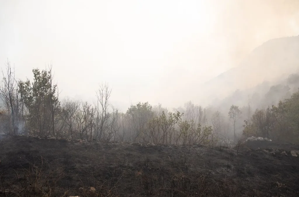 Komisiji za procjenu šteta od elementarnih nepogoda Glavnog grada stiglo 150 zahtjeva: Procjenjuju kuću, pomoćne objekte, šume i voćnjake