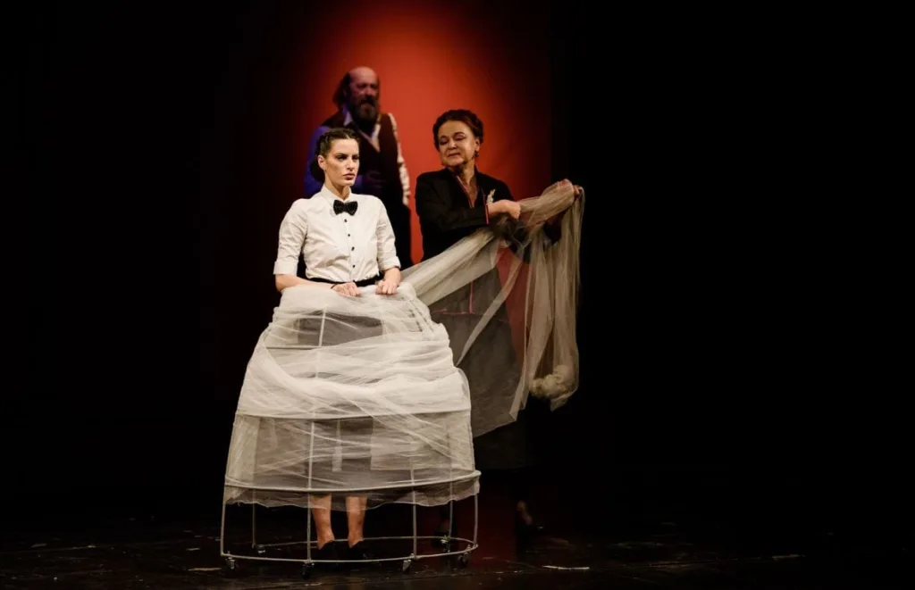 “Šćeri moja” večeras u CNP-u sa prevodom na znakovni jezik, ulaznice rasprodate