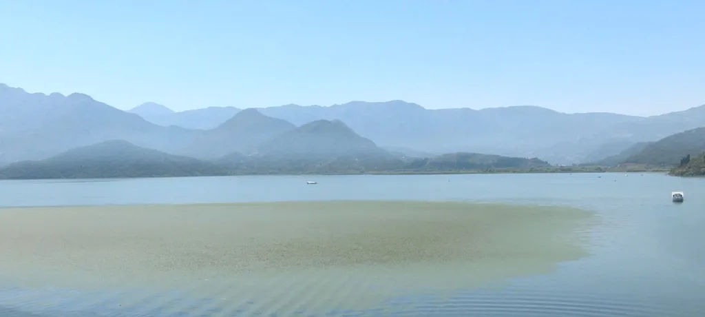 (VIDEO) Krivolov i dalje najveća prijetnja Skadarskom jezeru, ove godine zaplijenjeno 29 plovila krivolovaca