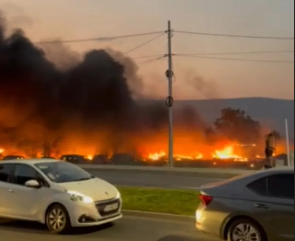 Bojanović: Situacija sa požarima u Podgorici pod kontrolom