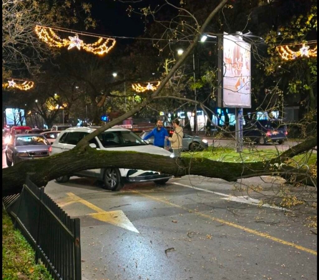 (FOTO/VIDEO) Kamion oborio stablo na Bulevaru Svetog Petra Cetinjskog: Ekipe na terenu
