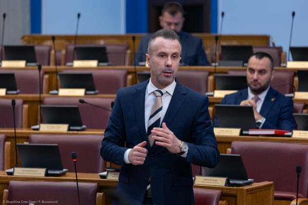 Bogdanović: U novijoj istoriji nismo imali bolji bezbjednosni sektor, institucije više nikada neće pripadati mafiji