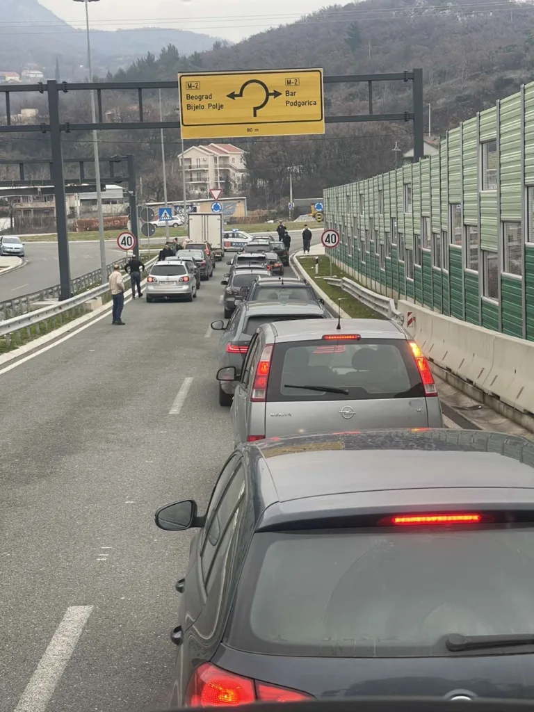 Mještani park šume Zagorič nastavljaju protest ispred Skupštine: Blokada od 16 do 17 časova