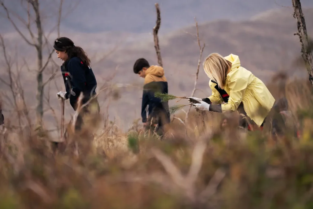Kampanja Boranka: Posađeno 6.000 sadnica crnog bora na planini Vojnik