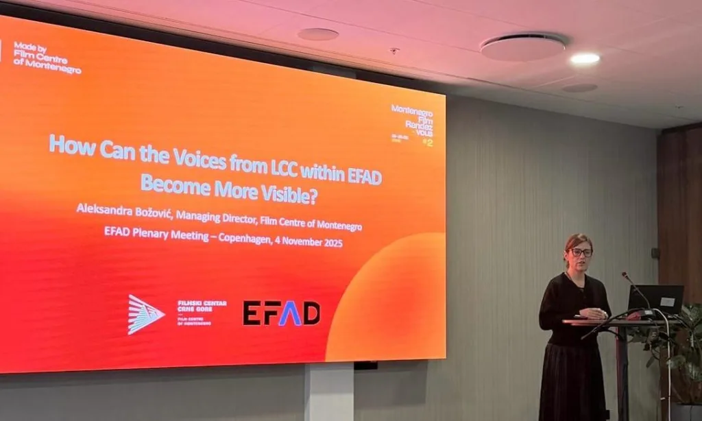 Božović: Sistemska podrška distribuciji i razvoju publike je ključna za opstanak evropskog filma