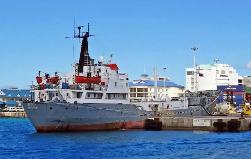 Istraga o švercu 4,8 tona kokaina: Crnogorski državljani saslušani i pušteni