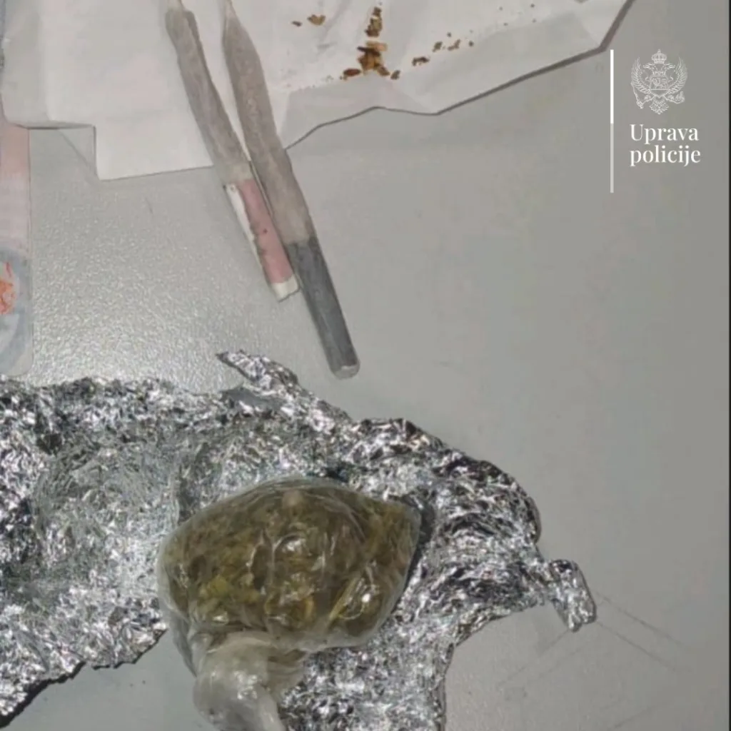 Na graničnim prelazima uhapšene dvije osobe zbog posjedovanja narkotika