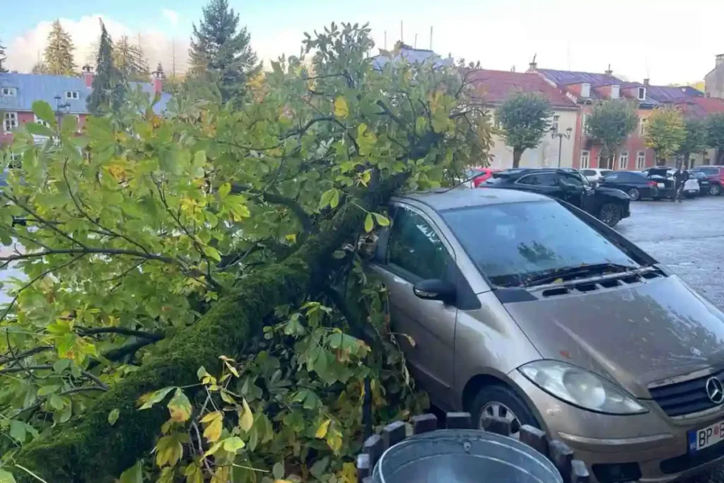 (FOTO/VIDEO) Nevrijeme na Cetinju, vjetar obarao grane