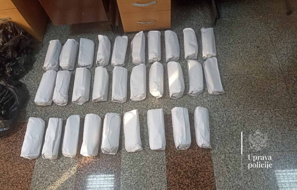 Granična policija procesuirala dva albanska državljanina, pronašli im preko 300 tableta i rezani duvan