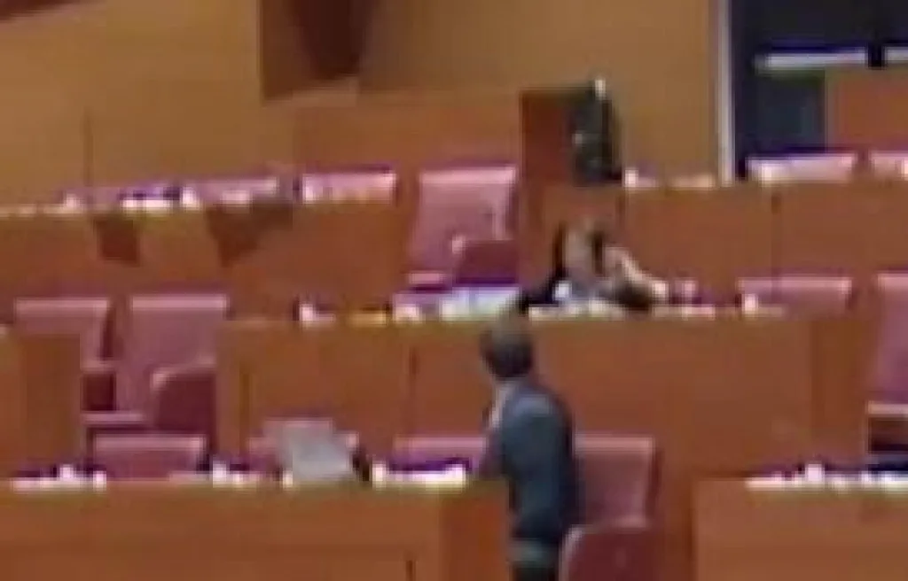 (VIDEO) Hrvatsku poslanicu udarila struja u tokom skupštinske rasprave