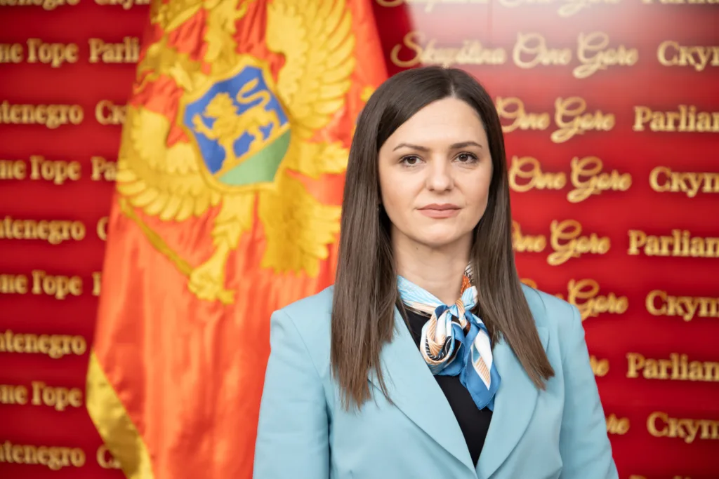 Andrić: Smolović nastavlja da zamajava javnost