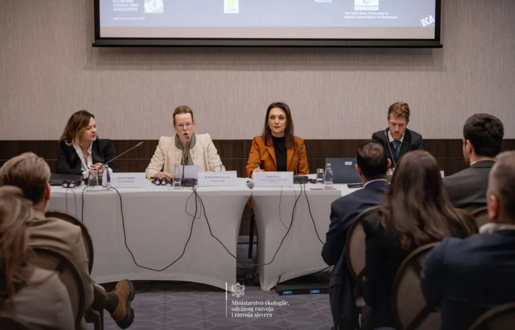 Grujić: Klimatska tranzicija nije prepreka razvoju, već njegova prilika