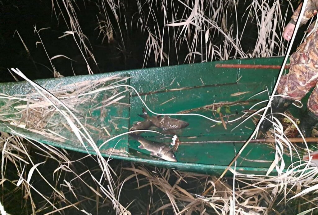 Procesuirane četiri osobe zbog krivolova na Skadarskom jezeru