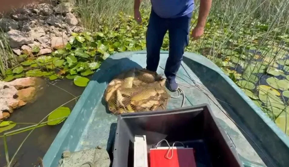 Spriječen krivolov na Skadarskom jezeru, zaplijenjena oprema