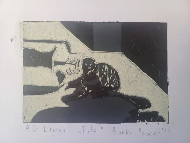 CDPR: Radovi studenata FLU donirani Domu zdtravlja u Nikšiću