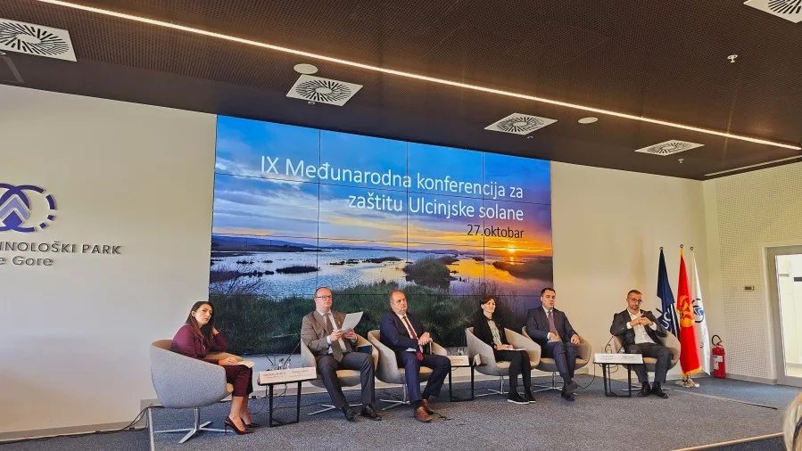 Ćulafić: Gotovo u potpunosti postignut dogovor u vezi formiranja novog upravljača Ulcinjske solane