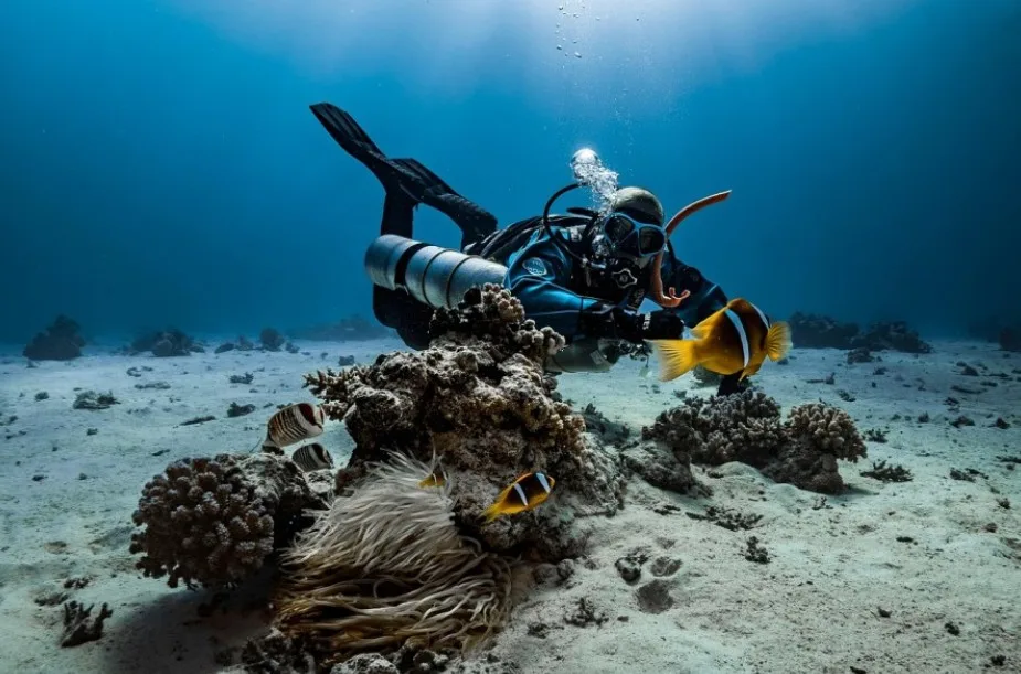 Studija: Duboki Jadran već dosegao temperature i salinitet predviđene za kraj vijeka