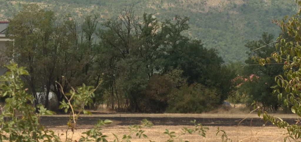 Mještani Donje Gorice: Sve češći požari u posljednjih deset godina postali su opasna prijetnja našem naselju