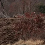 (VIDEO) U Piperskom selu Kopilje priroda zatrpana kokošijim izmetom i otpadom, rješenje poznato do kraja sedmice