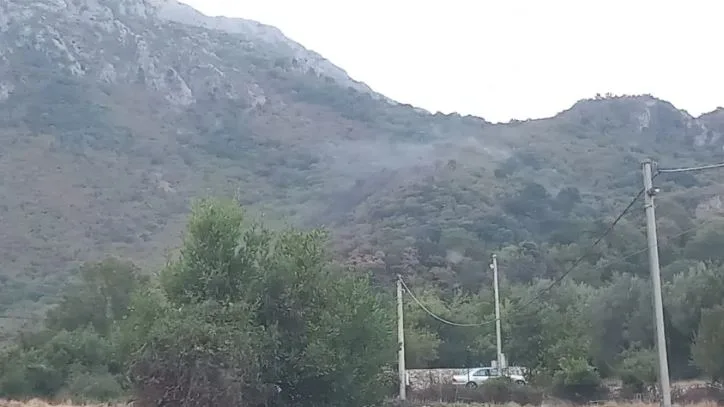 Na Lisinju lokalizovan požar, iz vazduha dejstvovao “vatro-ubica”