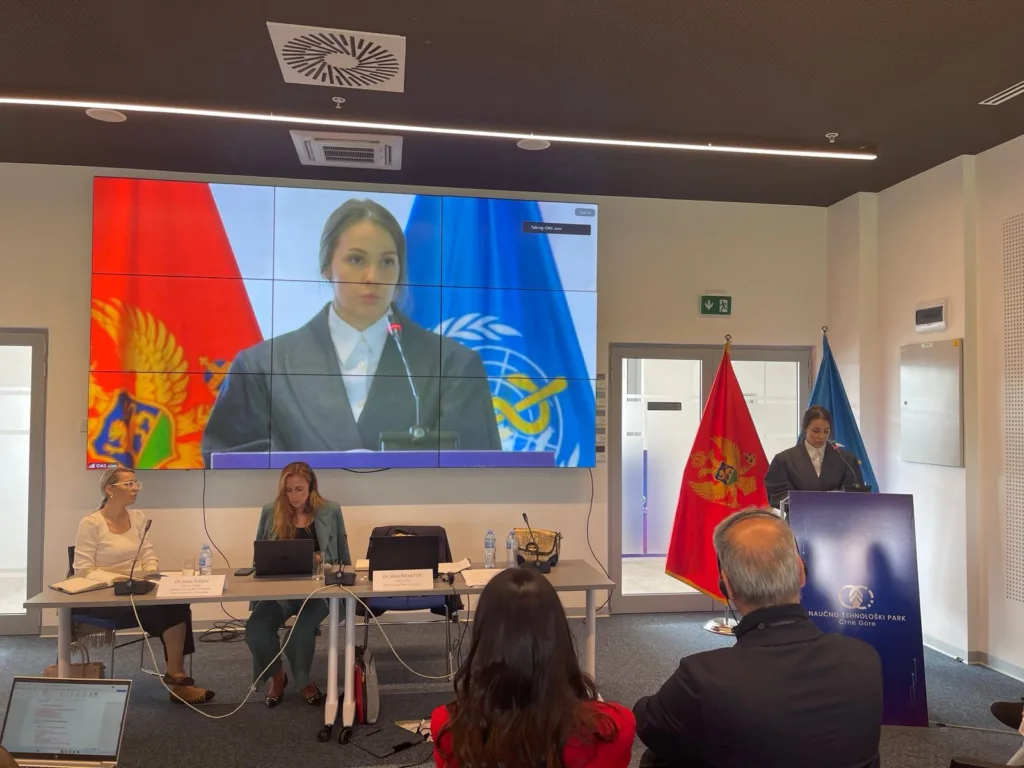 Ministarstvo zdravlja u saradnji sa SZO nastavlja radionice u okviru Obuke iz oblasti kvaliteta i bezbjednosti pacijenata