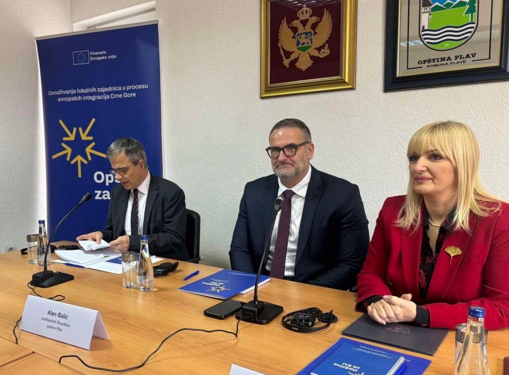 Borovinić Bojović: Jake lokalne samouprave su temelj uspješnih evropskih integracija