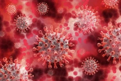 Smrtonosni virus u Indiji izaziva paniku u cijeloj Aziji