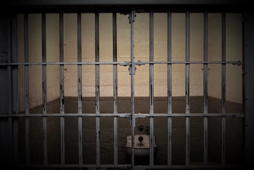 Nikoliću 40 godina zatvora za brutalno ubistvo trudne supruge