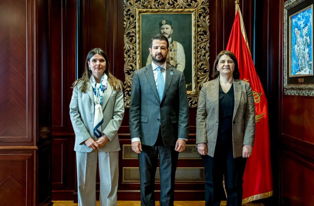 Milatović postavio ambasadore u NATO-u, UN-u i Republici Austriji